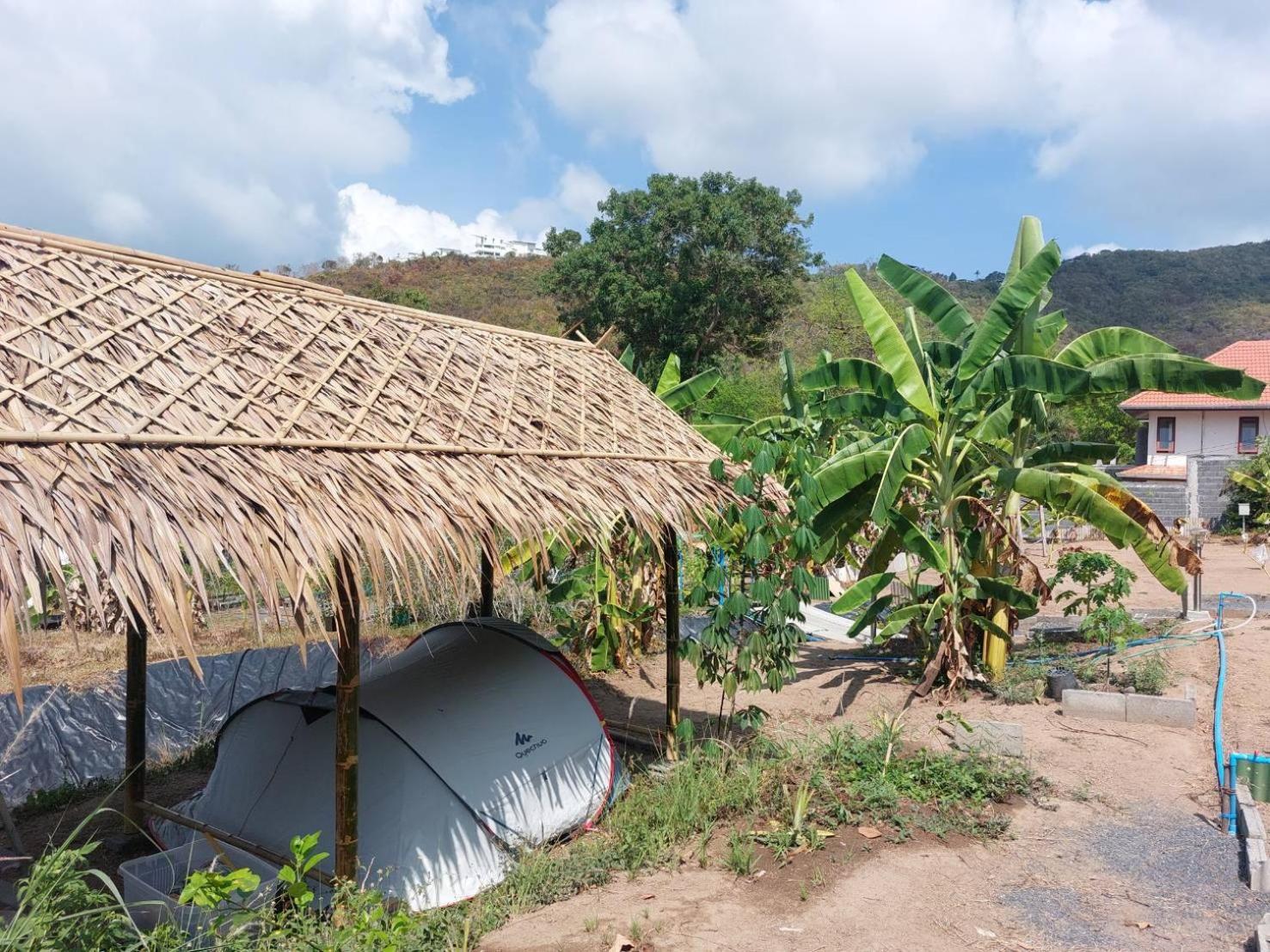 Samui Camping Farm Hotel Laem Sor Exterior photo